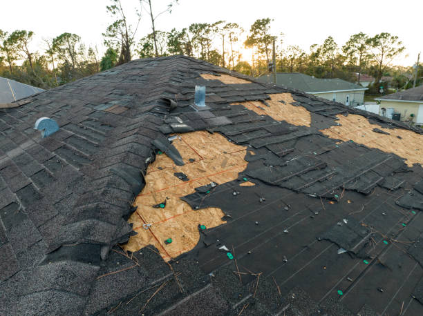 Best Solar Panel Roofing Installation  in Princeton, NJ